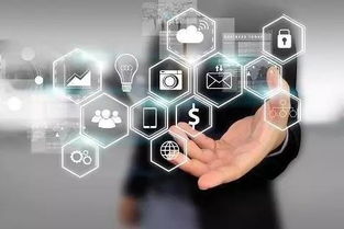 大數據產業騰飛，軟件開發基礎設施需先行